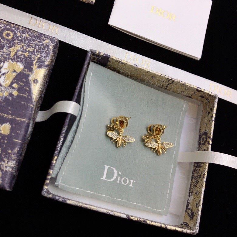 Christian Dior Earrings